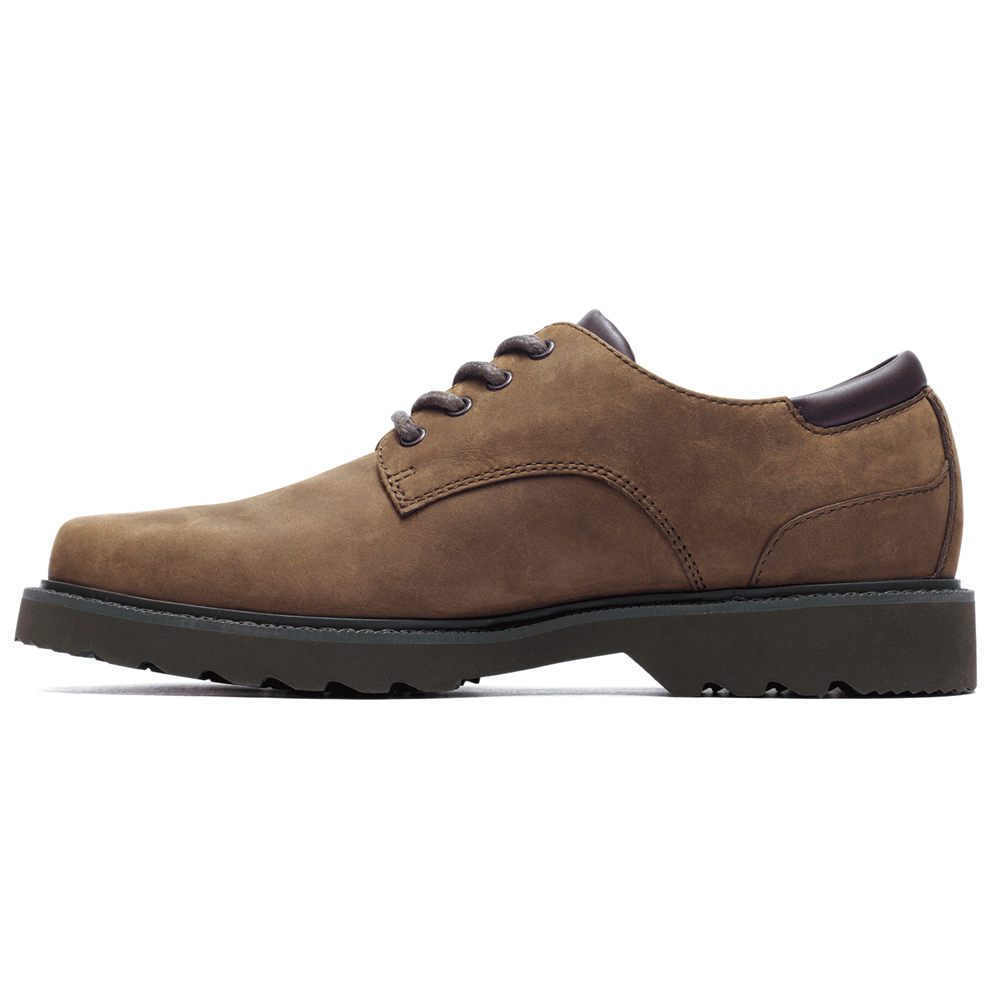 Oxfords Rockport Homem Marrom Escuro - Northfield Waterproof - 32918CHIY